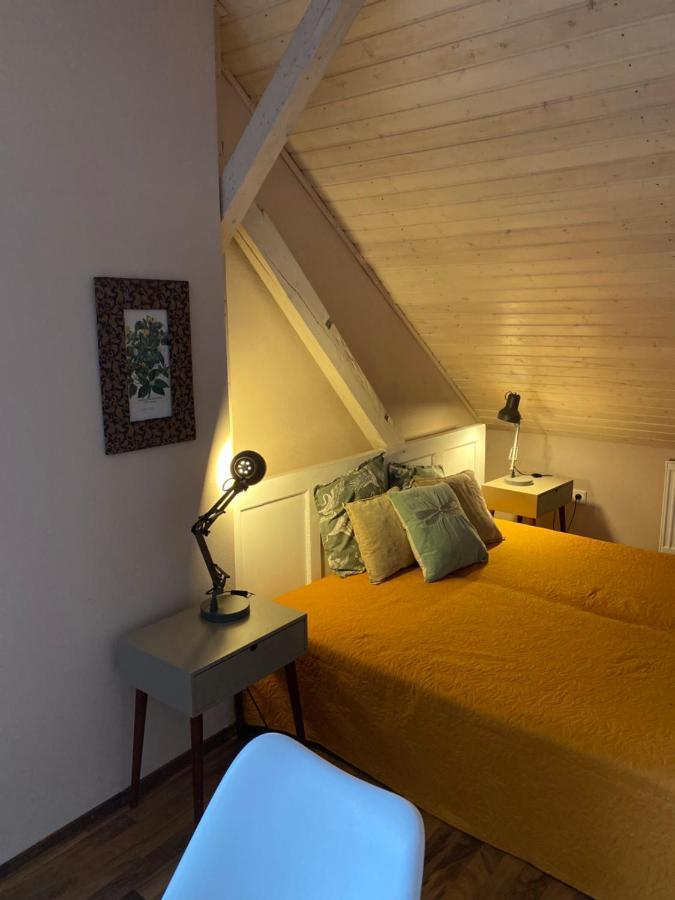 Apartmany Rudik Železná Ruda Eksteriør bilde