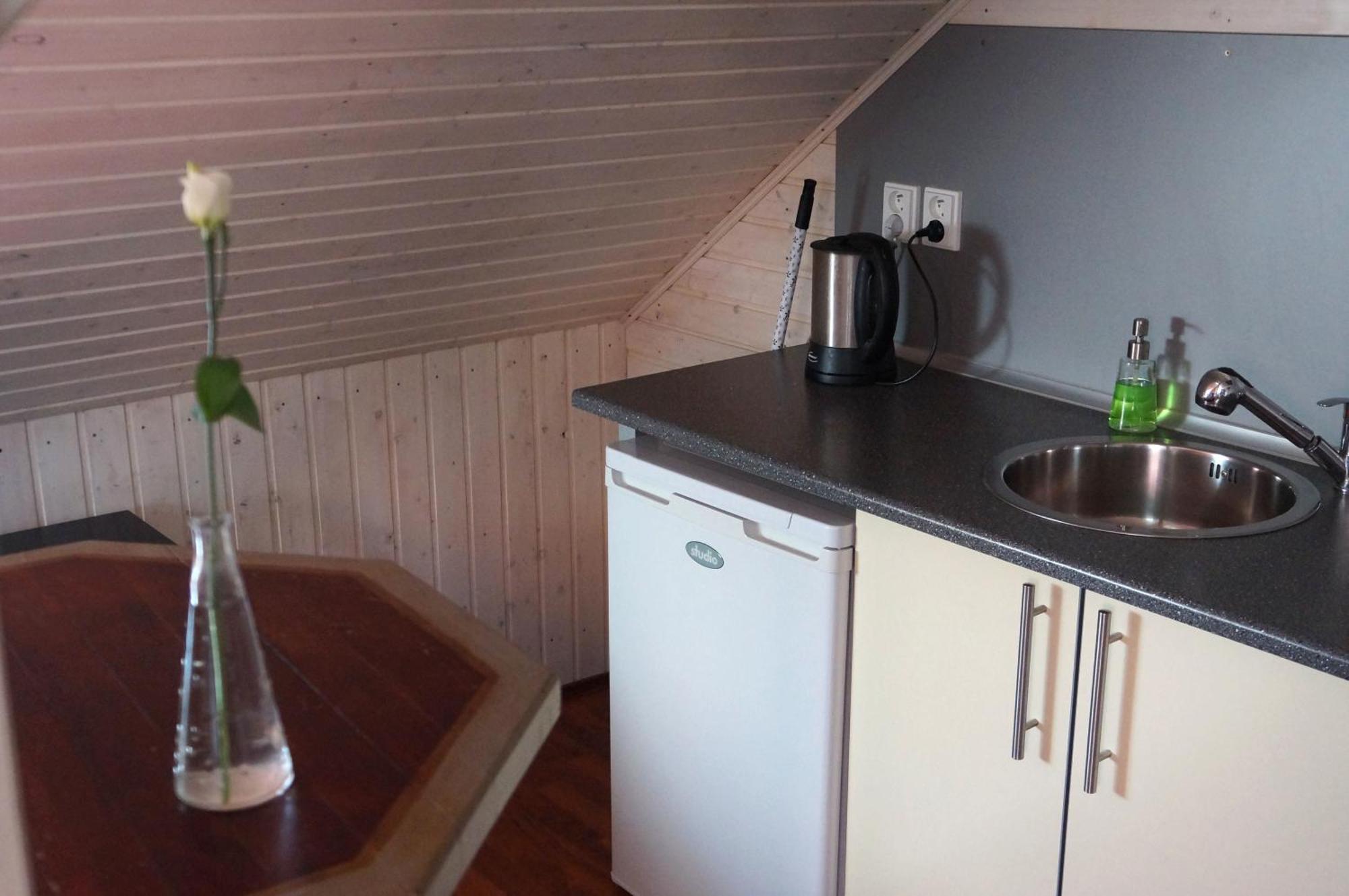 Apartmany Rudik Železná Ruda Rom bilde